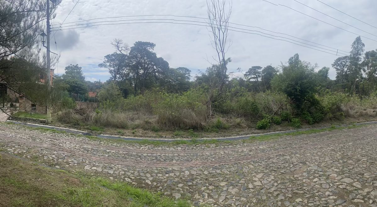 3 de 7