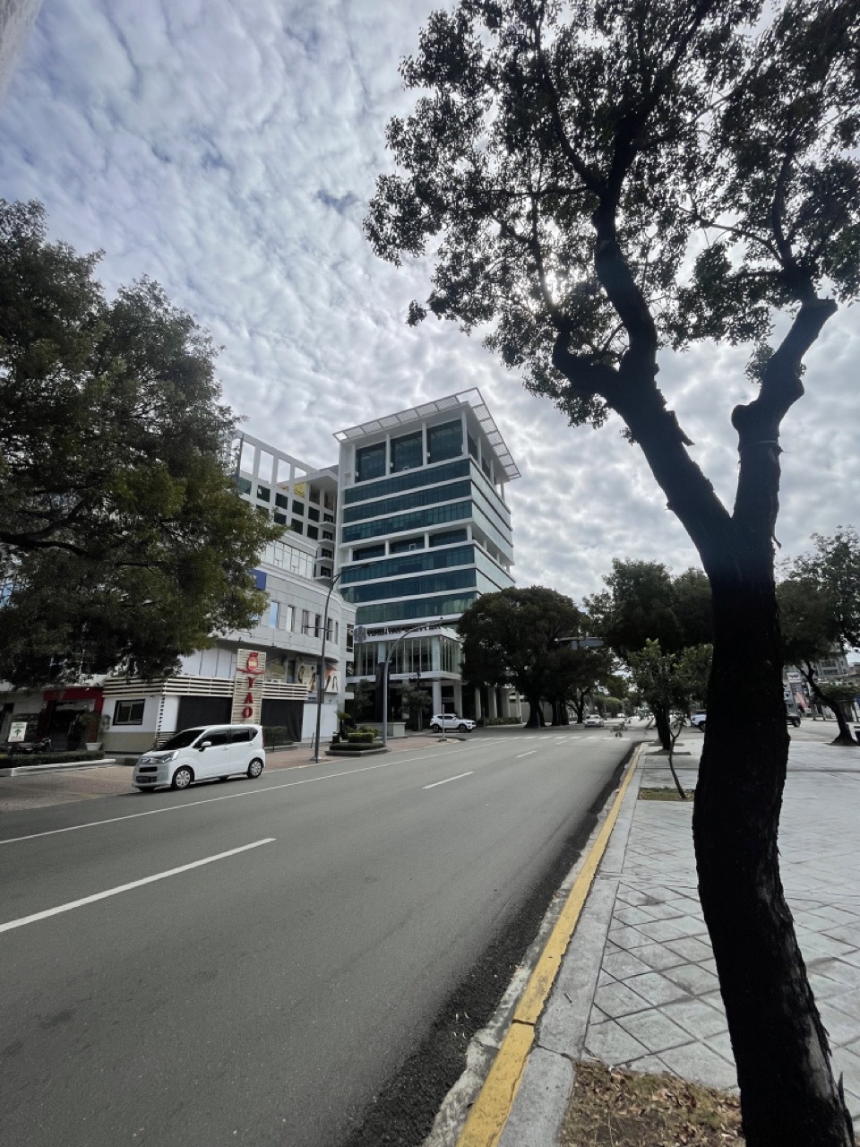 11 de 21