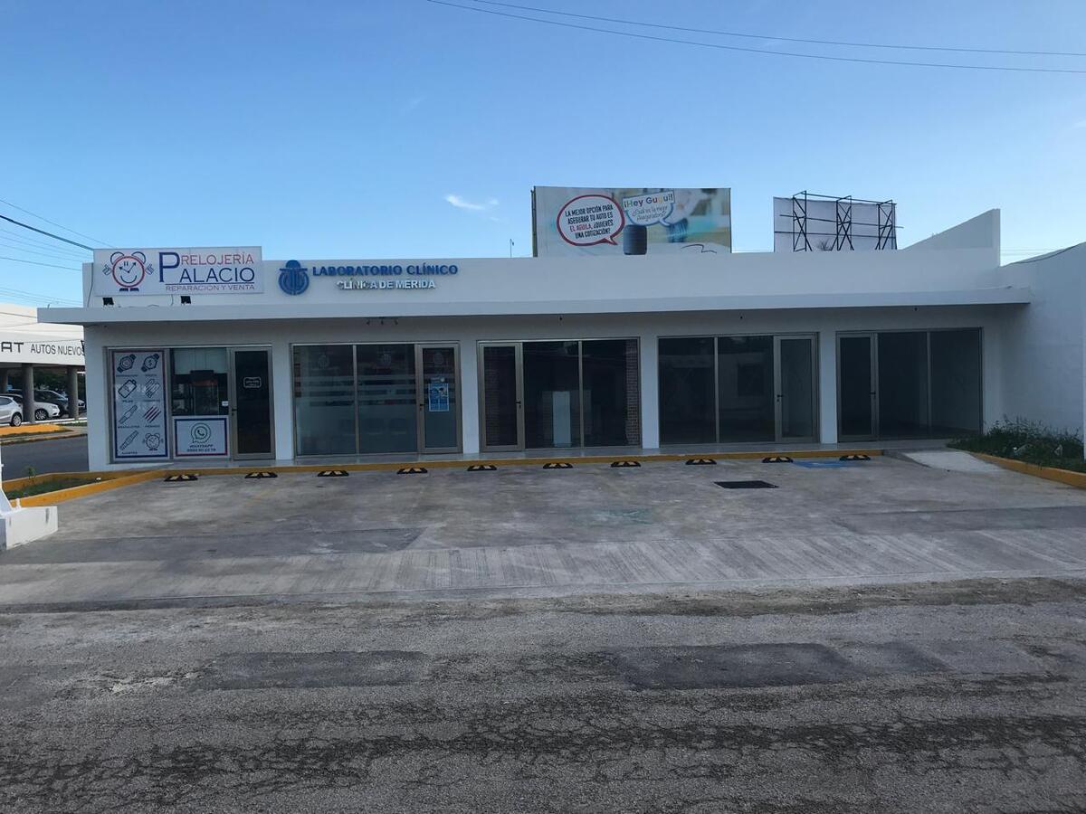 1 de 3