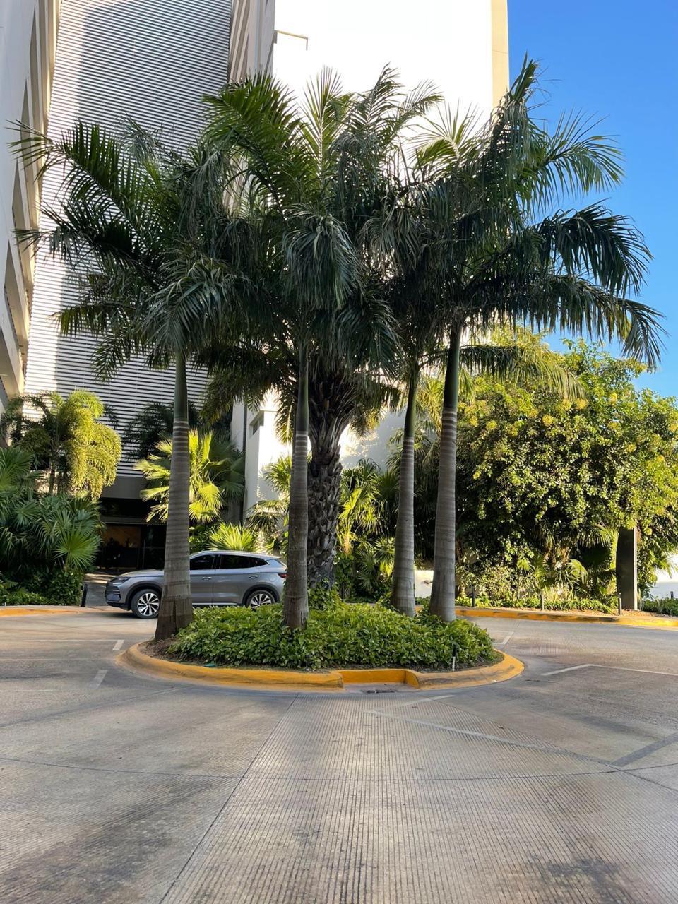 3 de 24