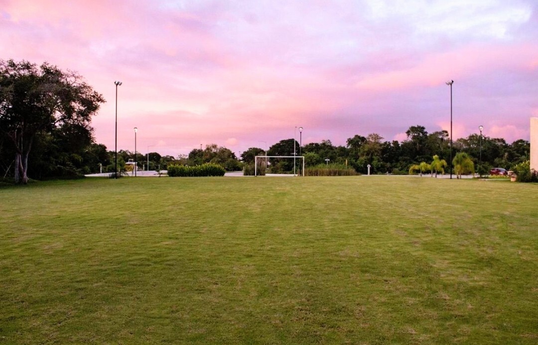 3 de 10: Cancha