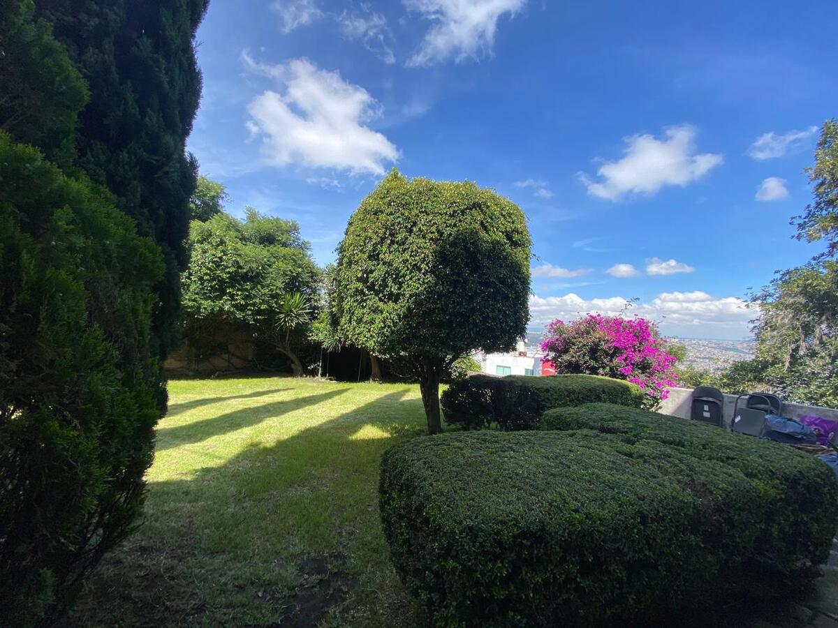 13 de 19