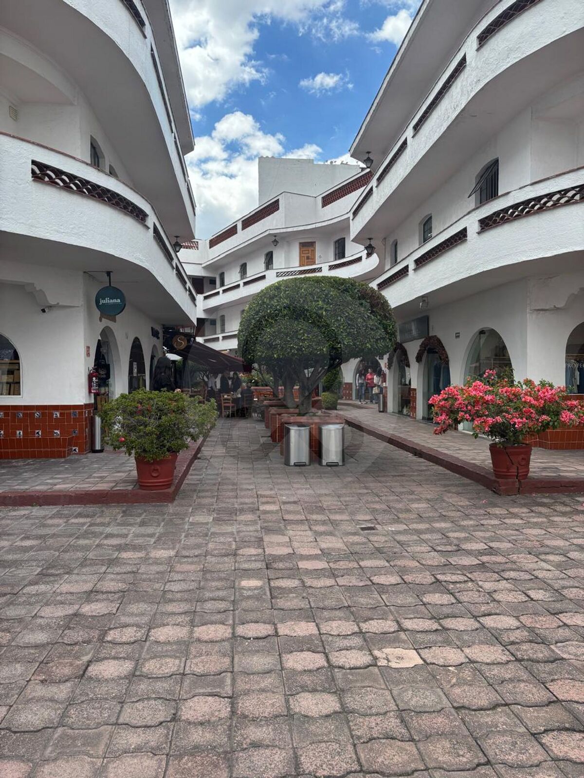 3 de 19