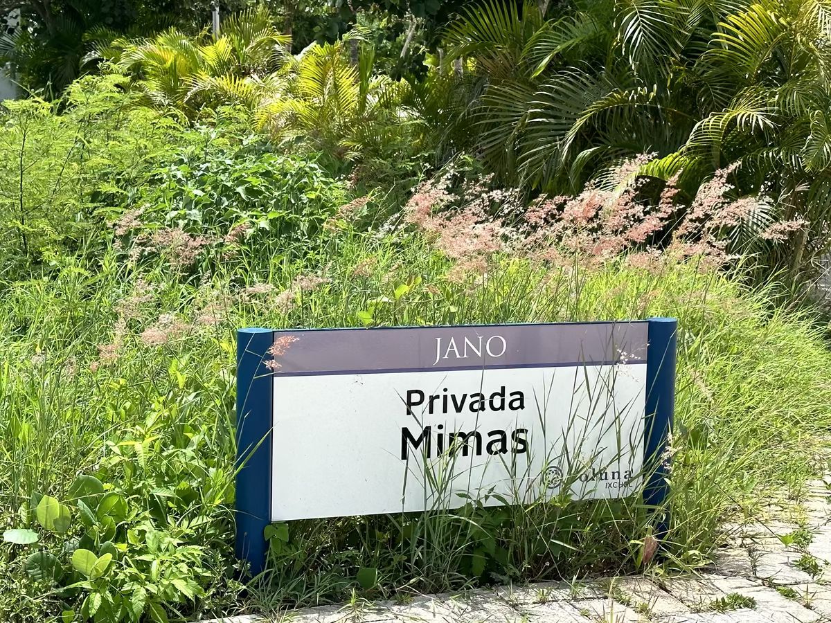 32 de 42