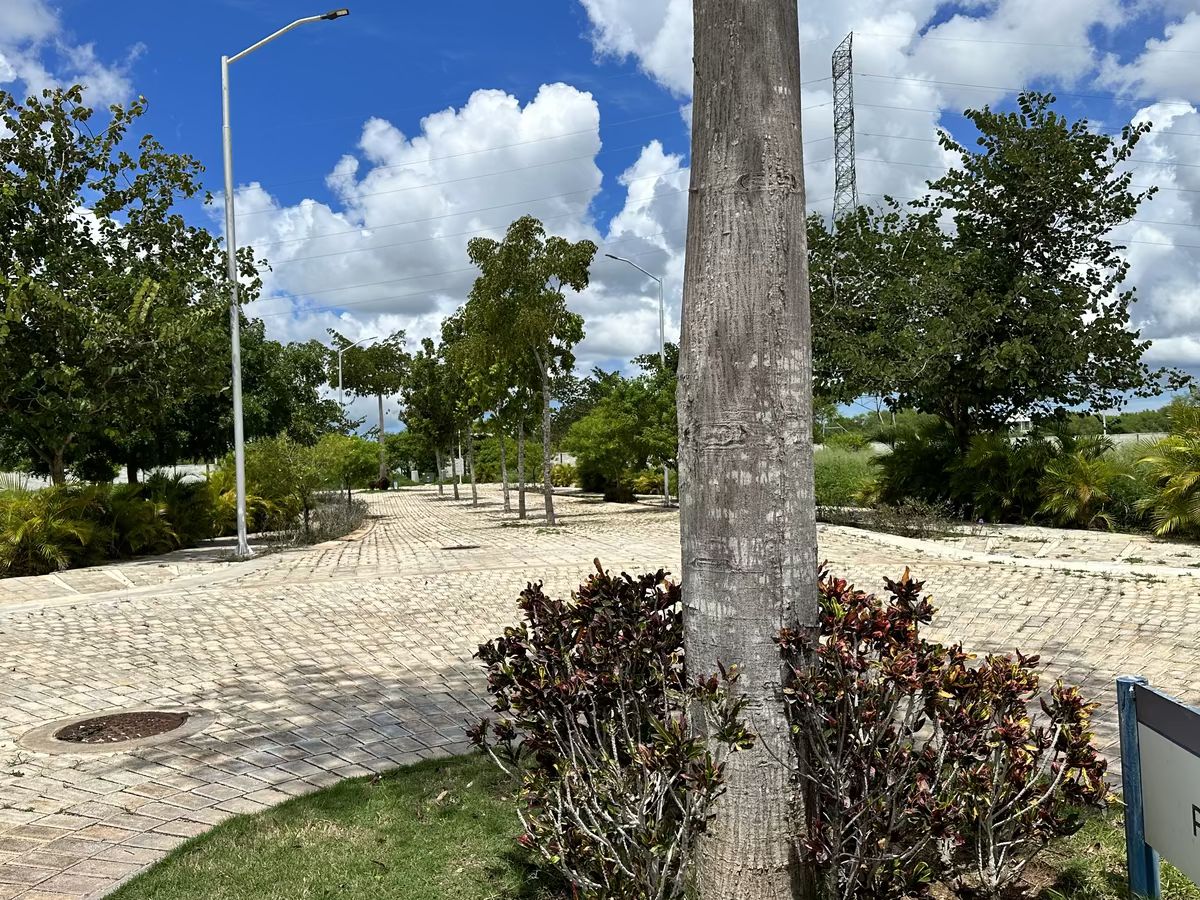 36 de 42