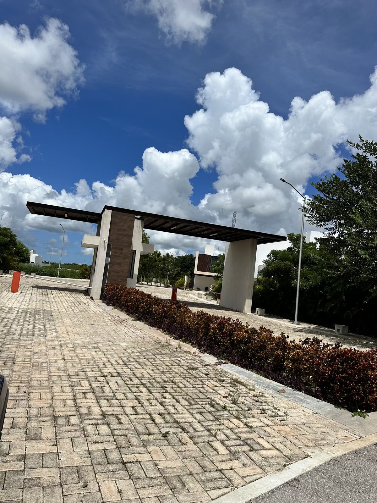 38 de 42