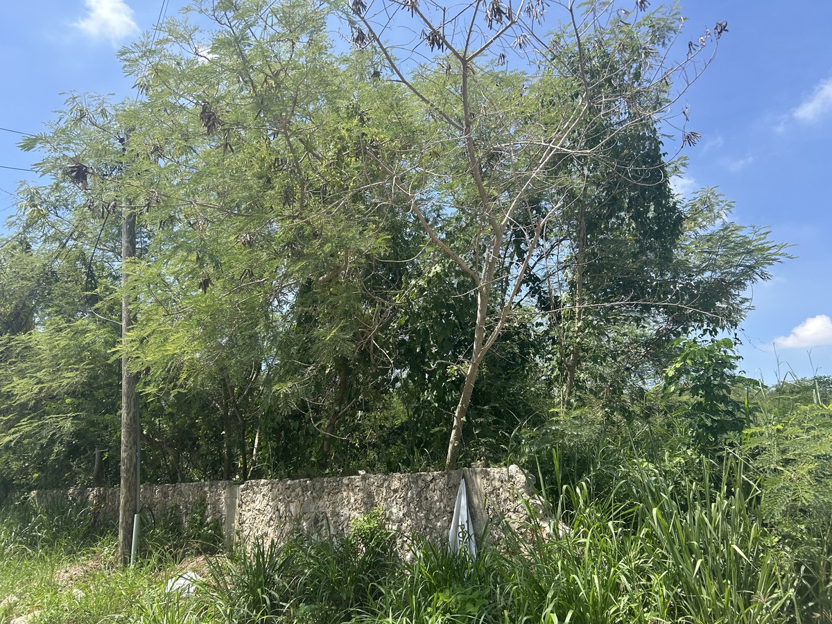 4 de 4