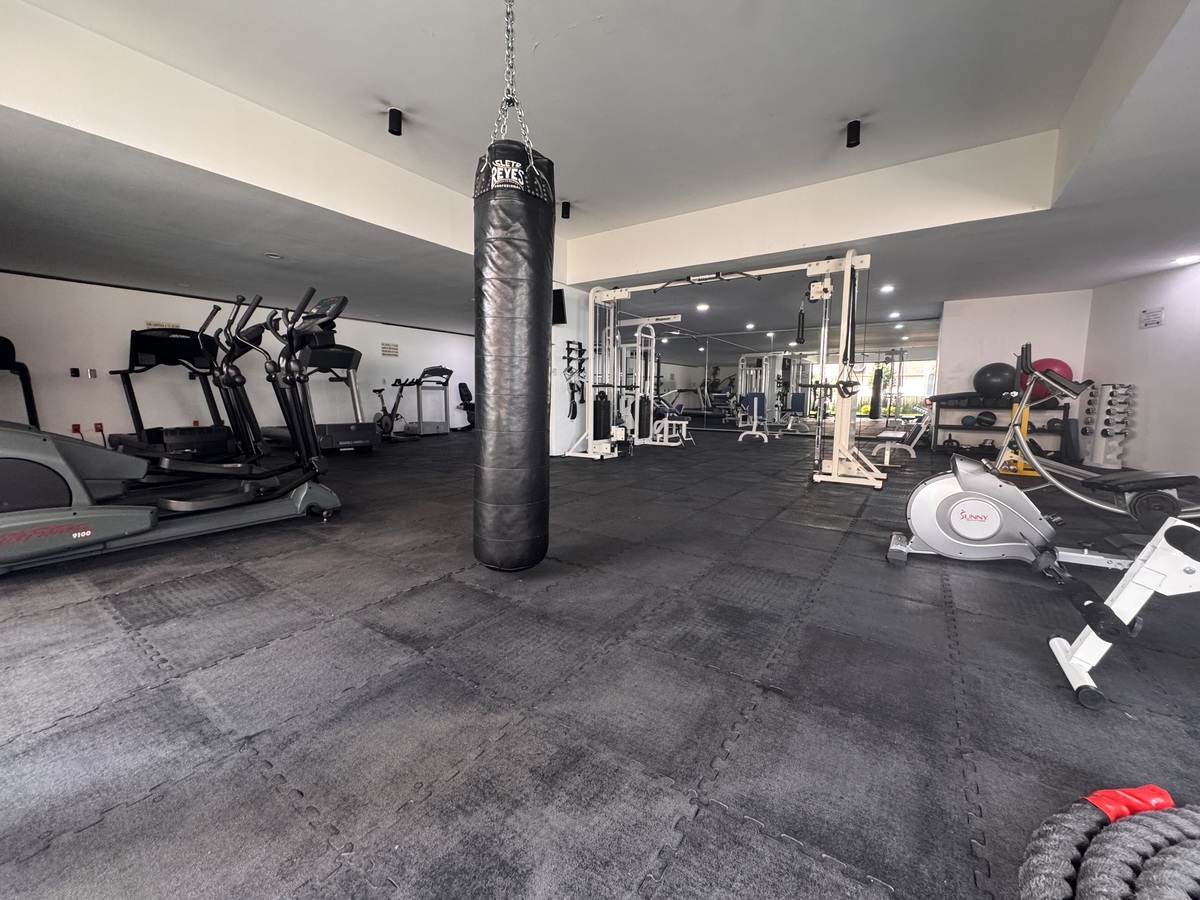 21 de 23: Gimnasio