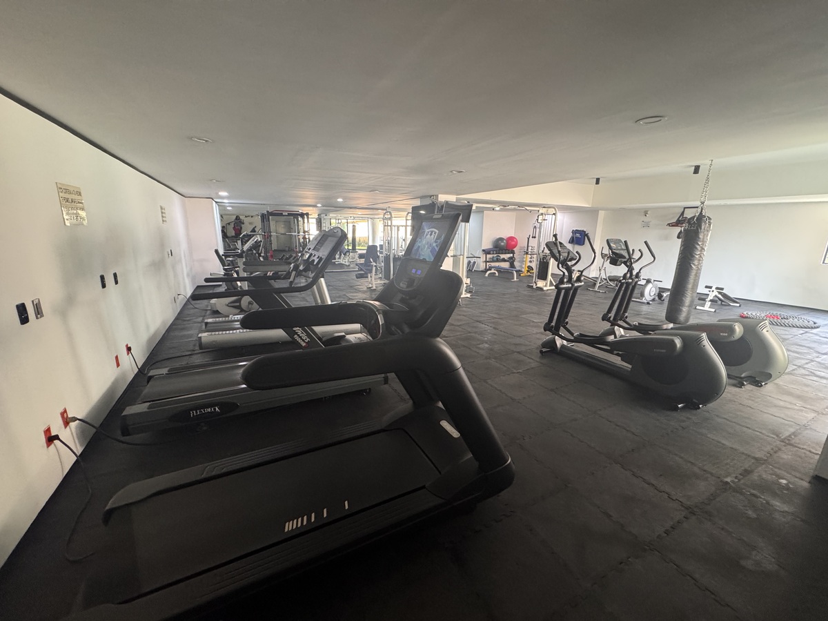 22 de 23: Gimnasio