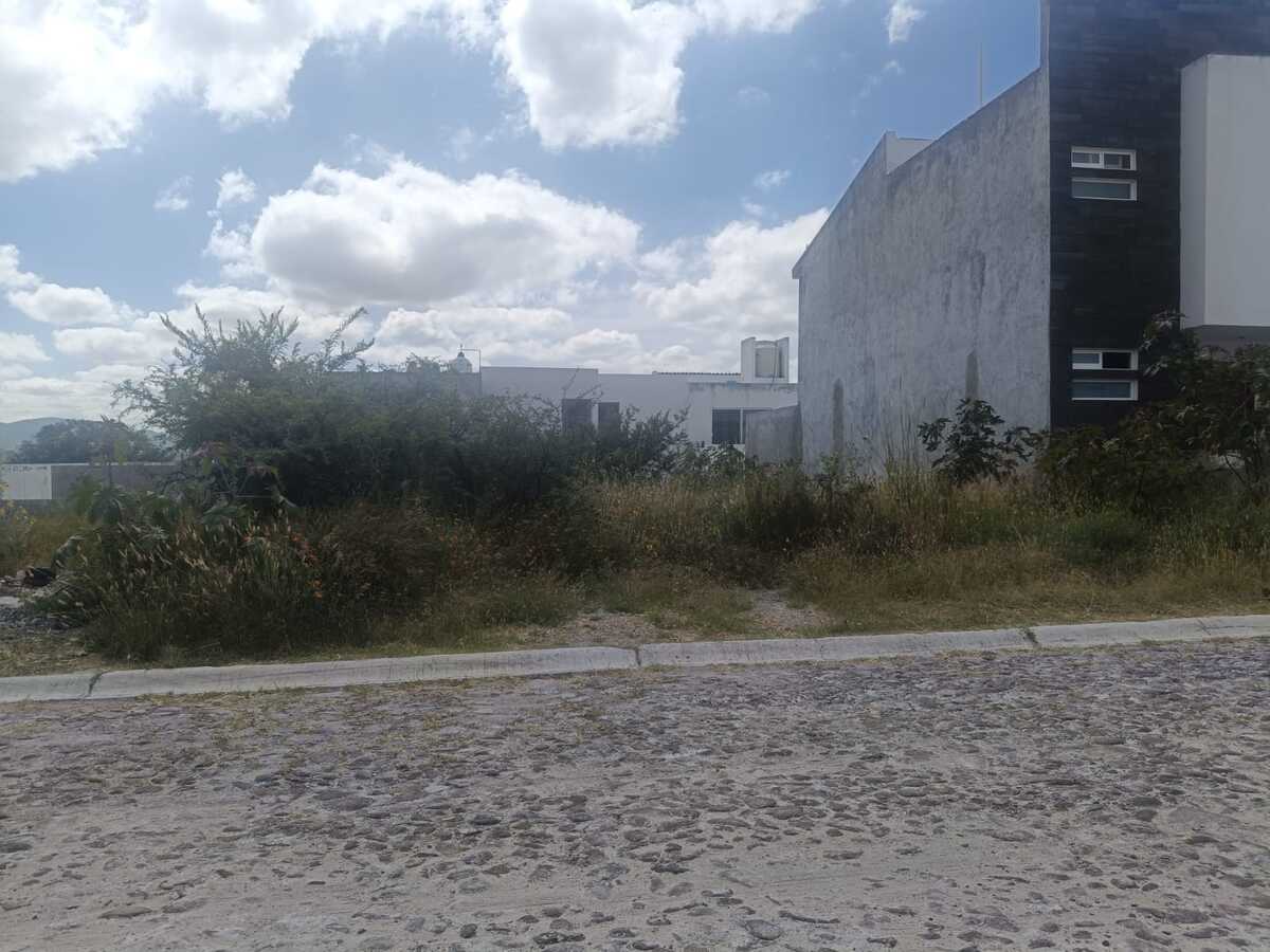1 de 8