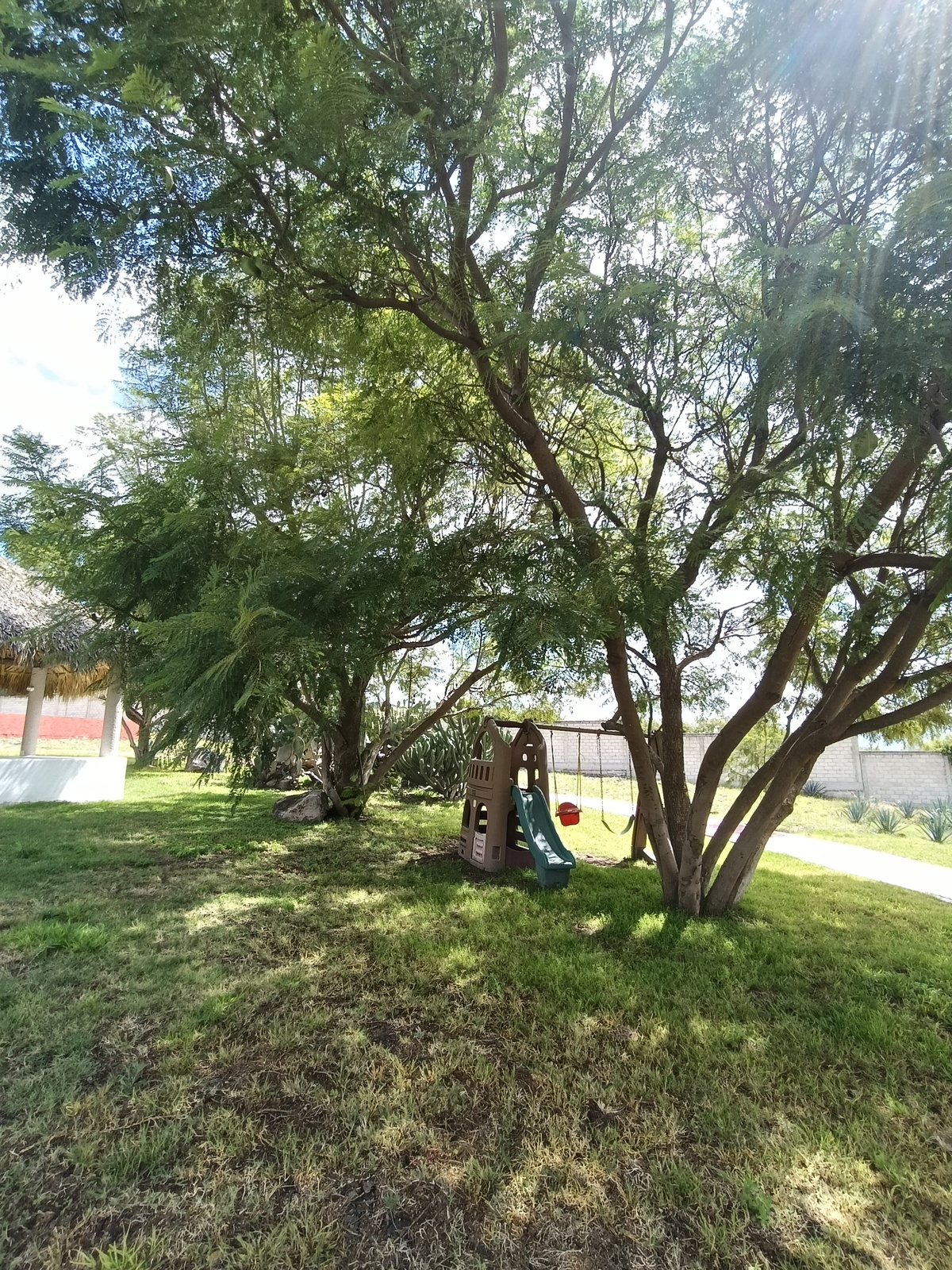 5 de 8