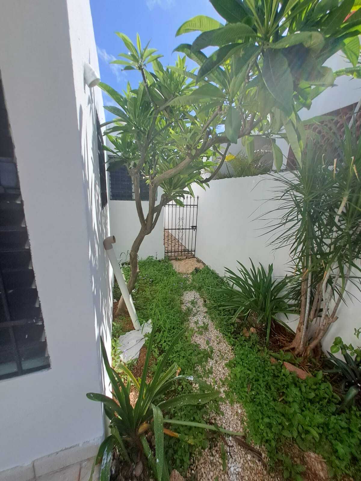 6 de 12