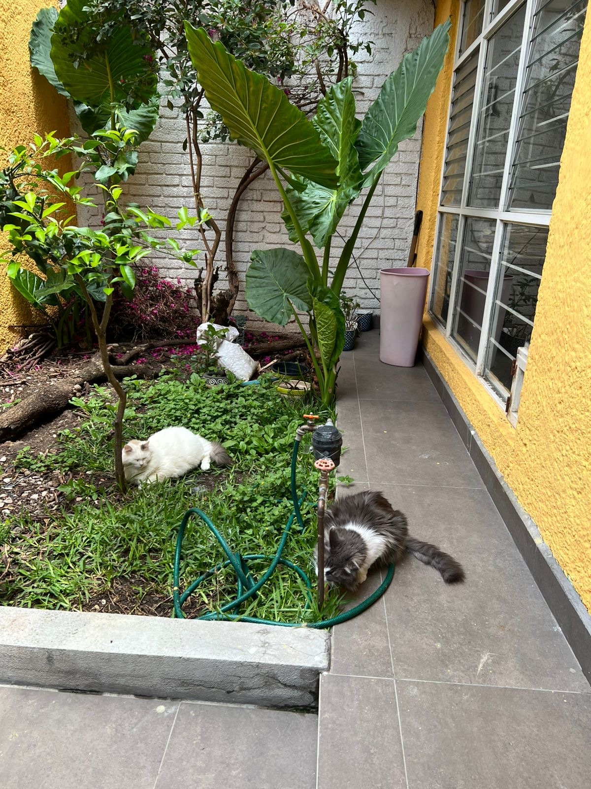 2 of 12