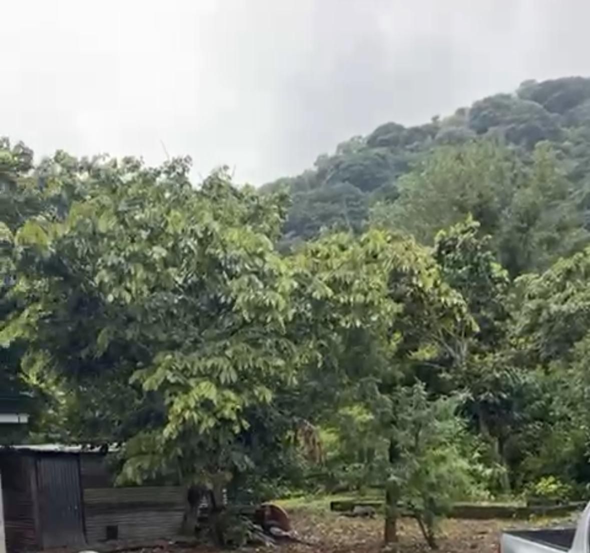 3 de 5