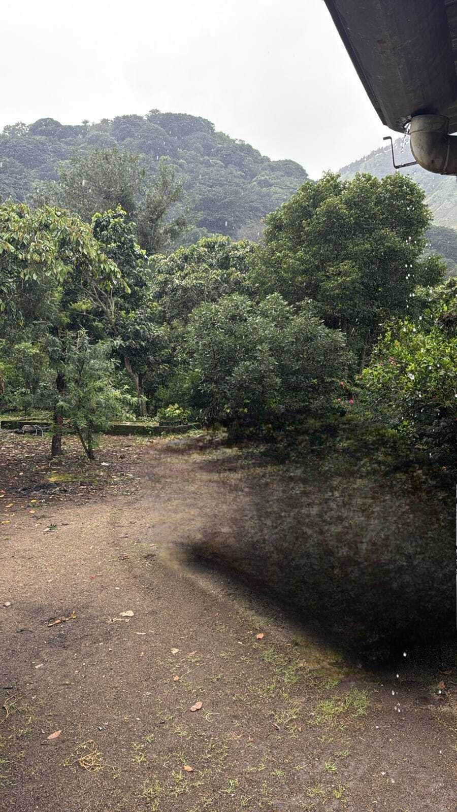 4 de 5