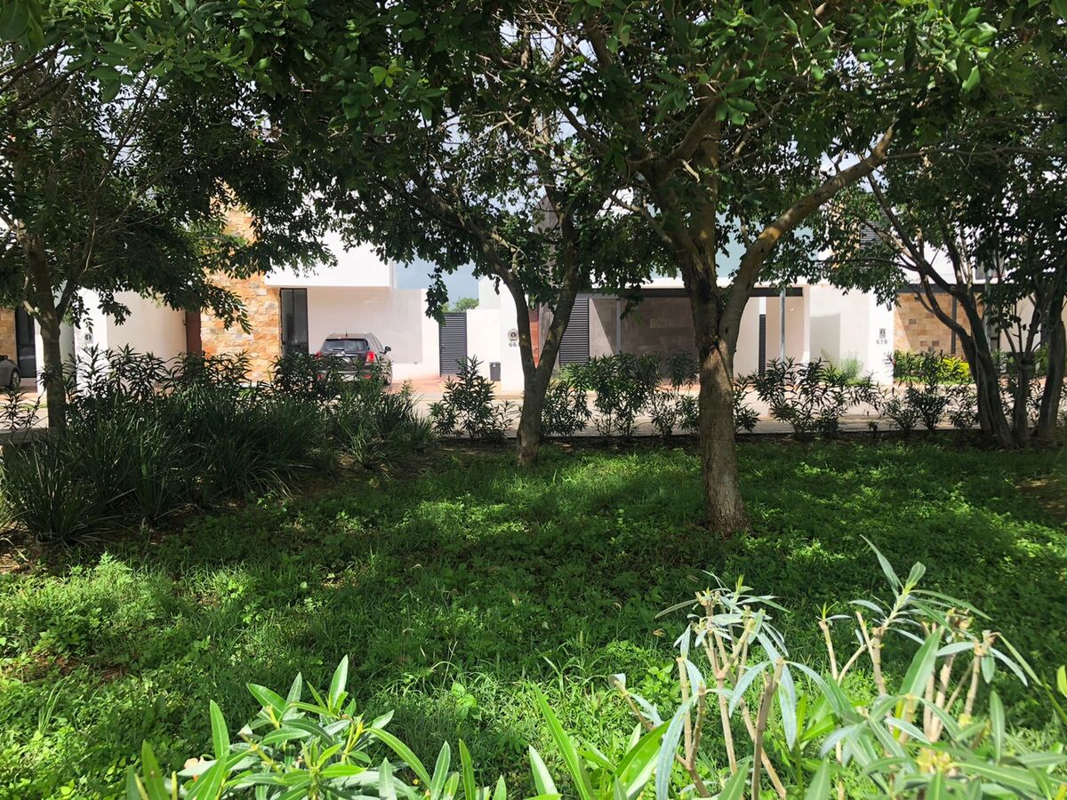 12 de 12: Áreas Verdes