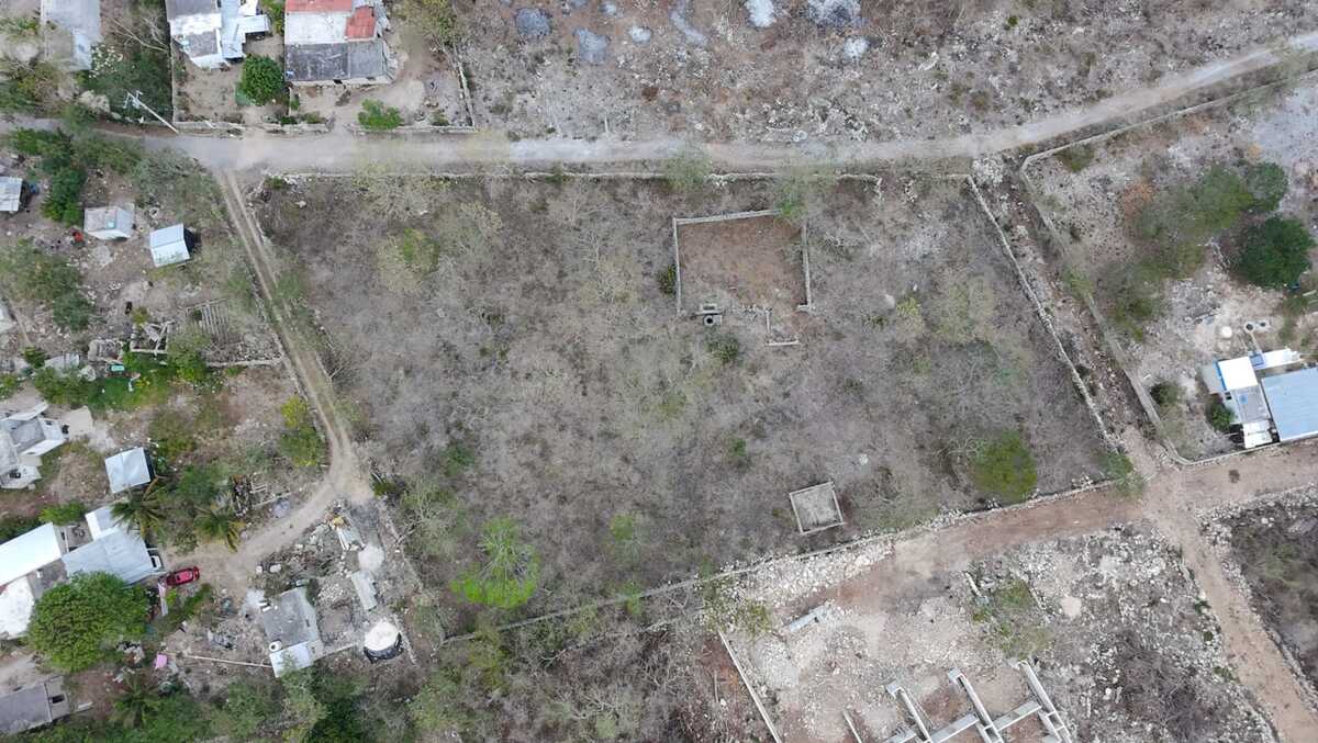 5 de 11