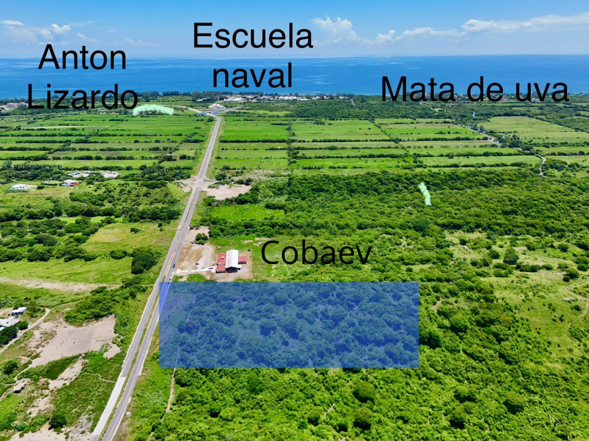 2 de 4