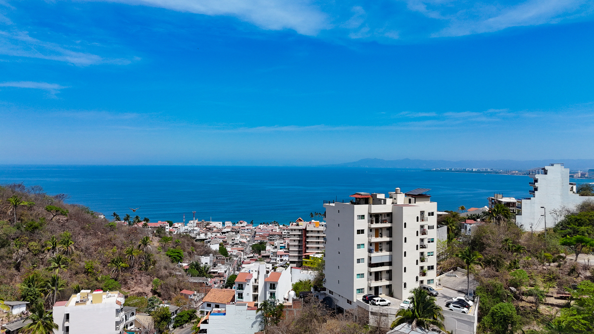 4 de 14