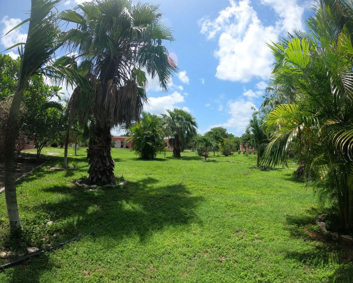 5 de 10