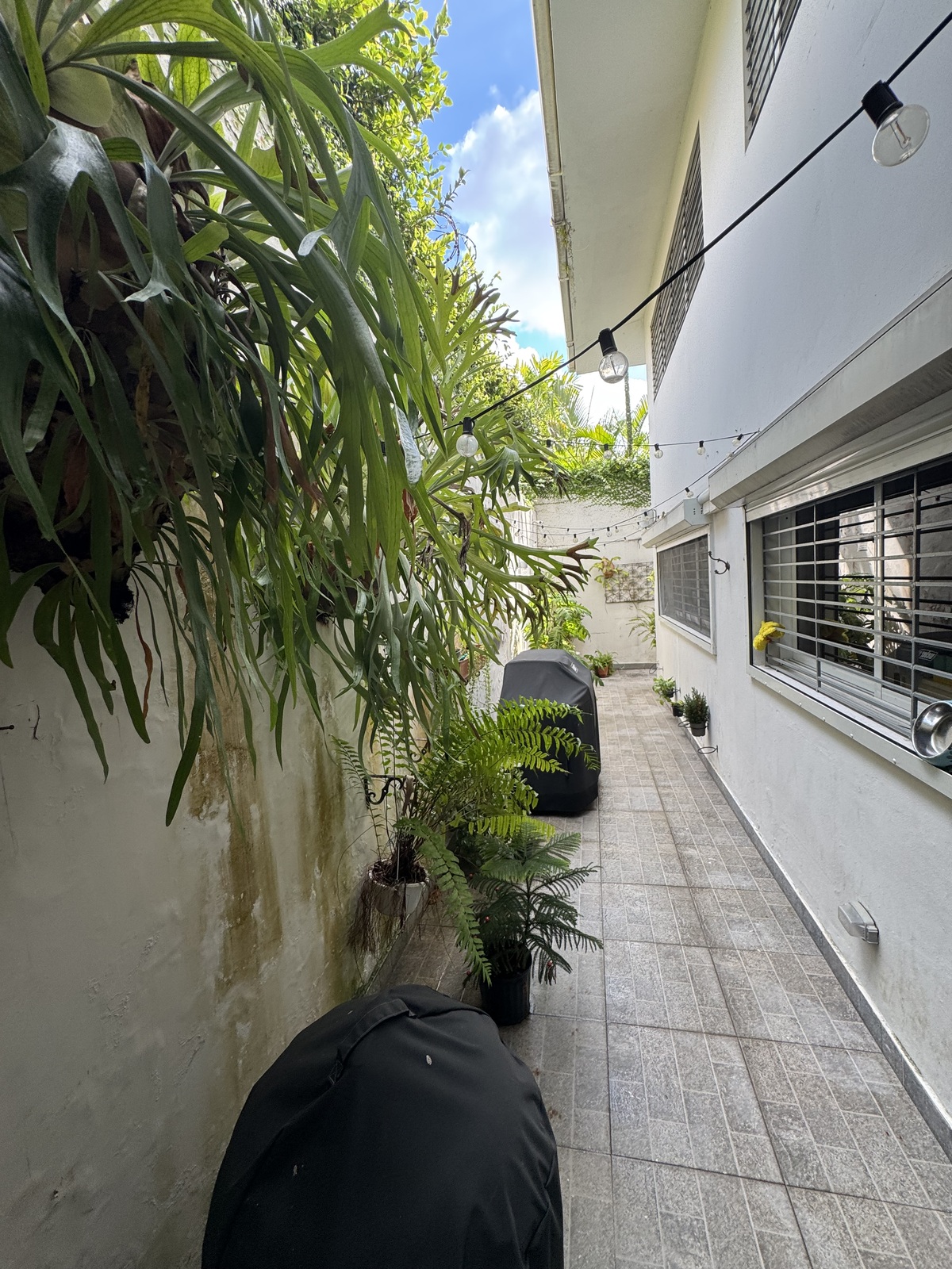 9 de 14: Patio