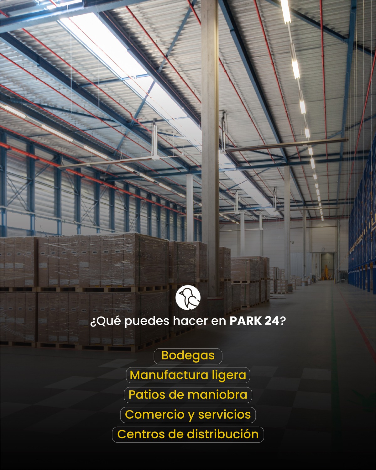 3 de 8