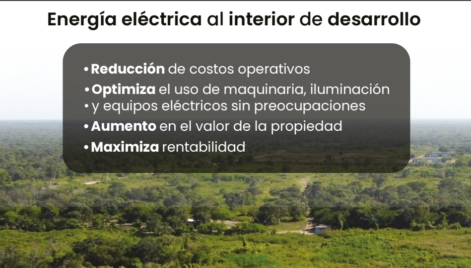4 de 8