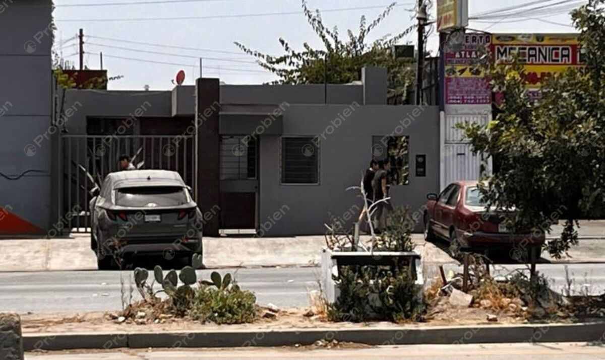 3 de 14