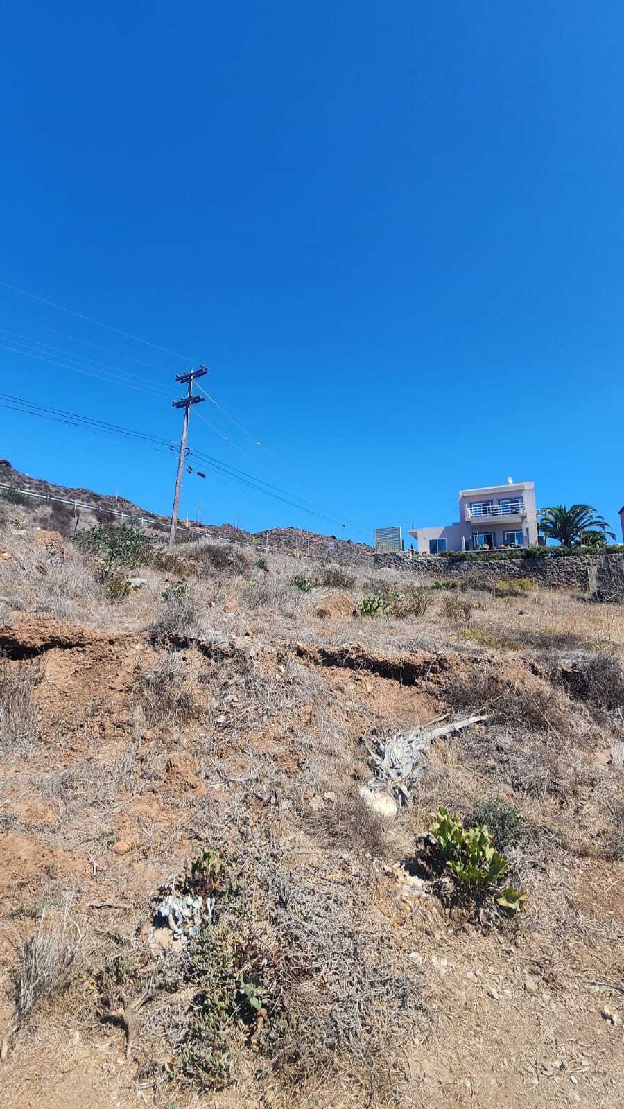 4 de 6