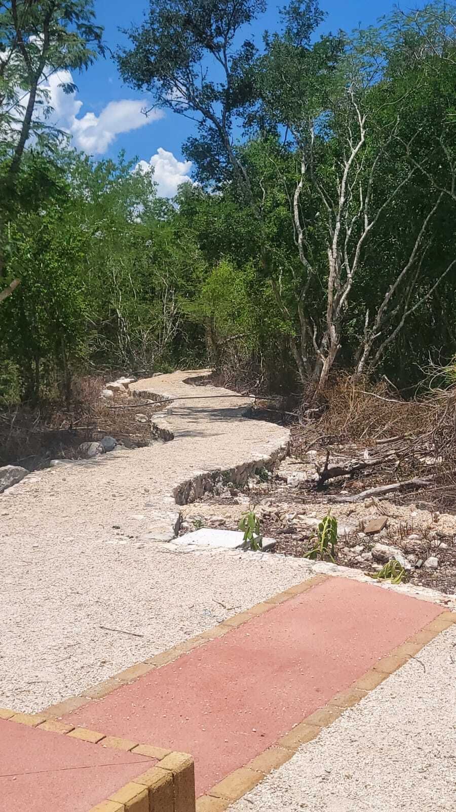 2 de 18