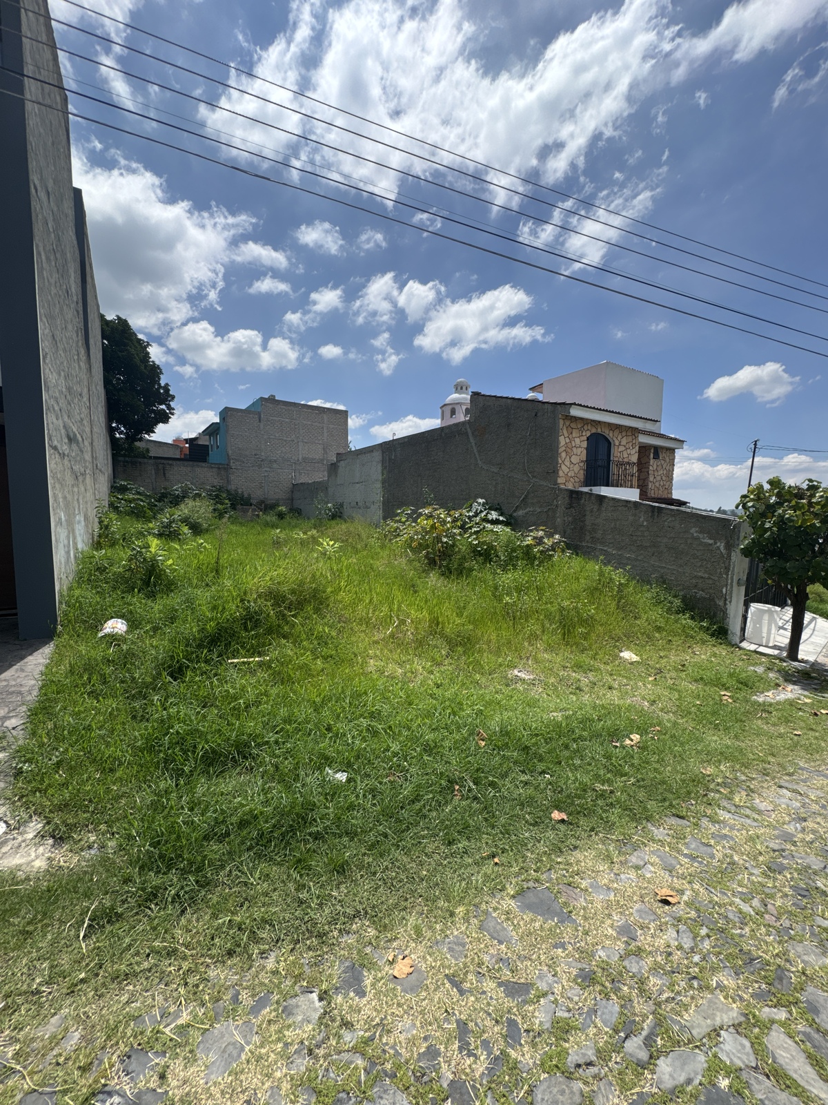 1 de 7