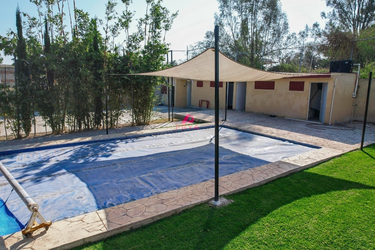 19 de 40