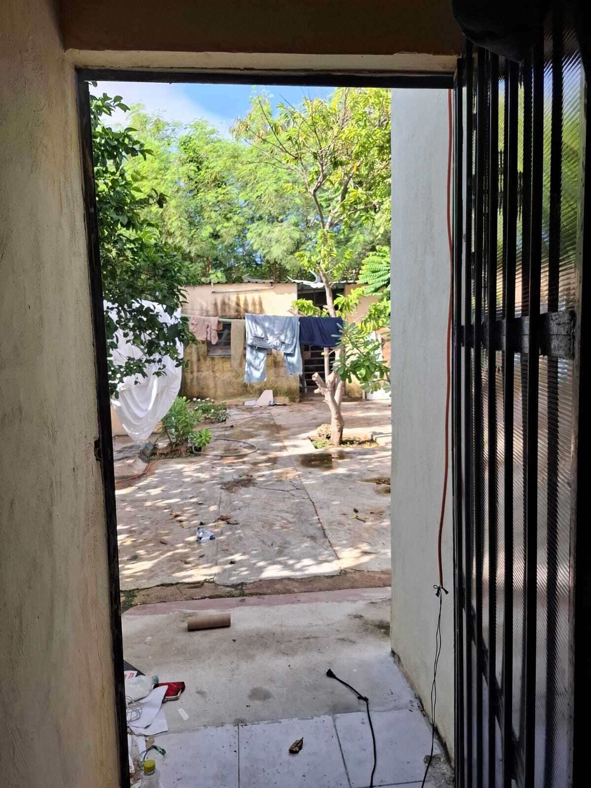 24 de 25