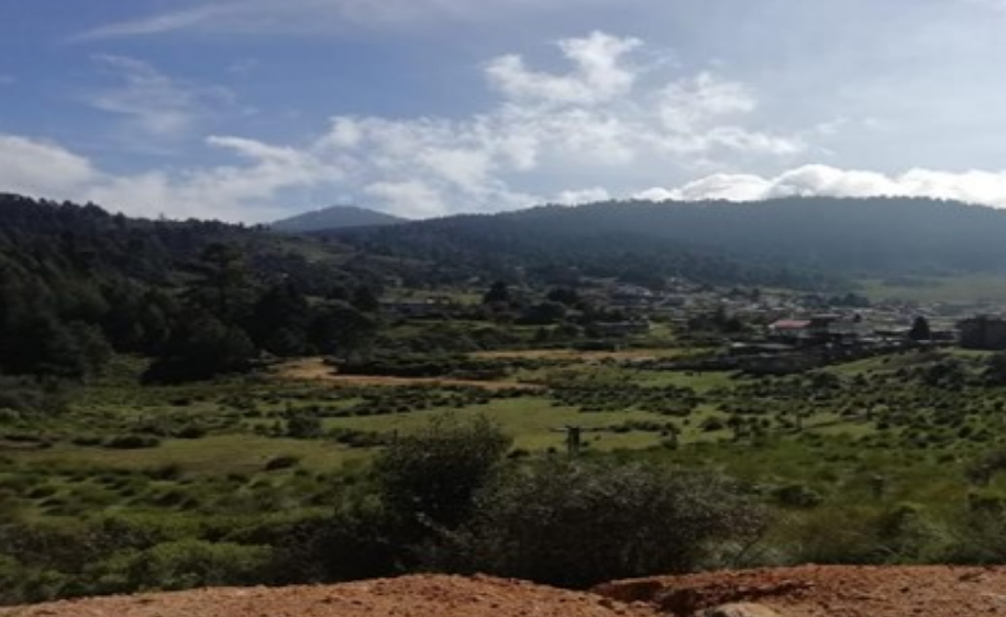 3 de 3