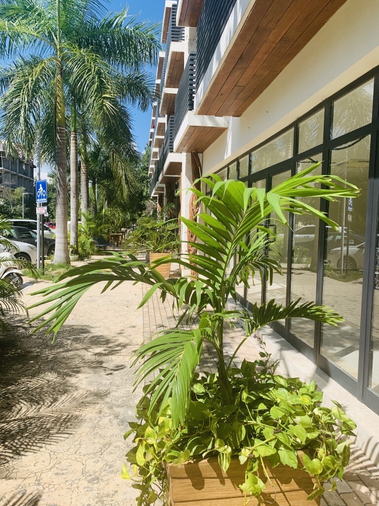 1 de 1