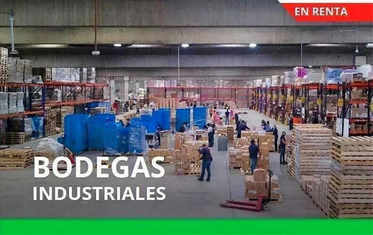 4 de 4