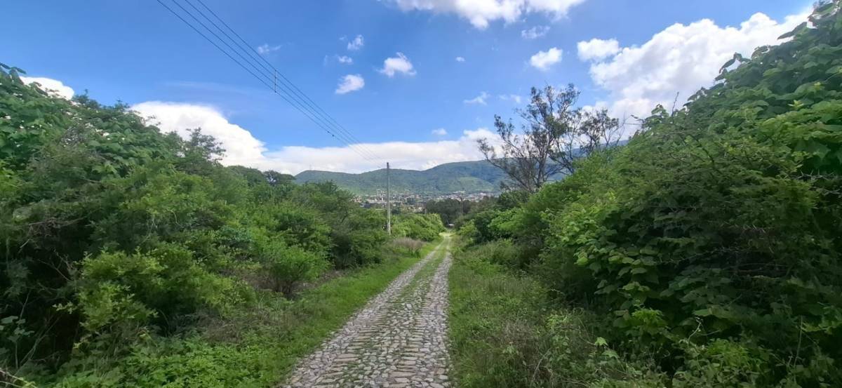 4 de 4