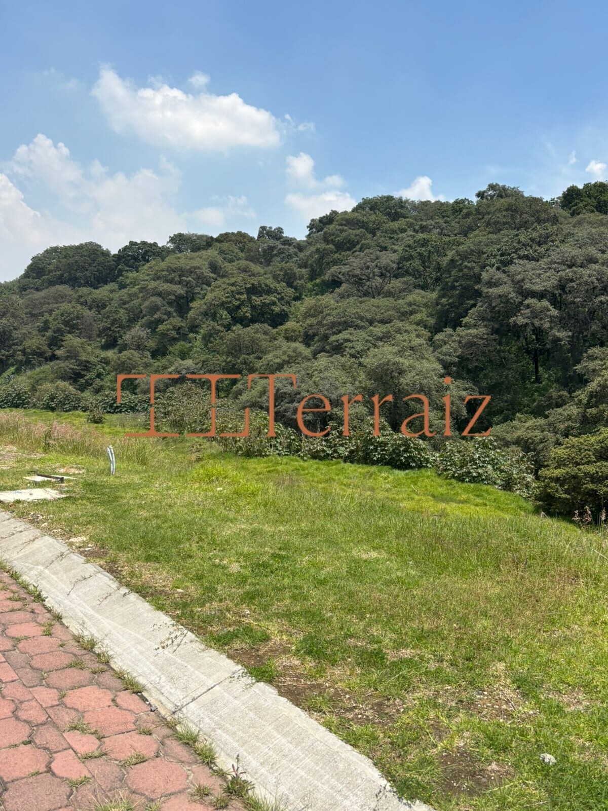 5 de 7