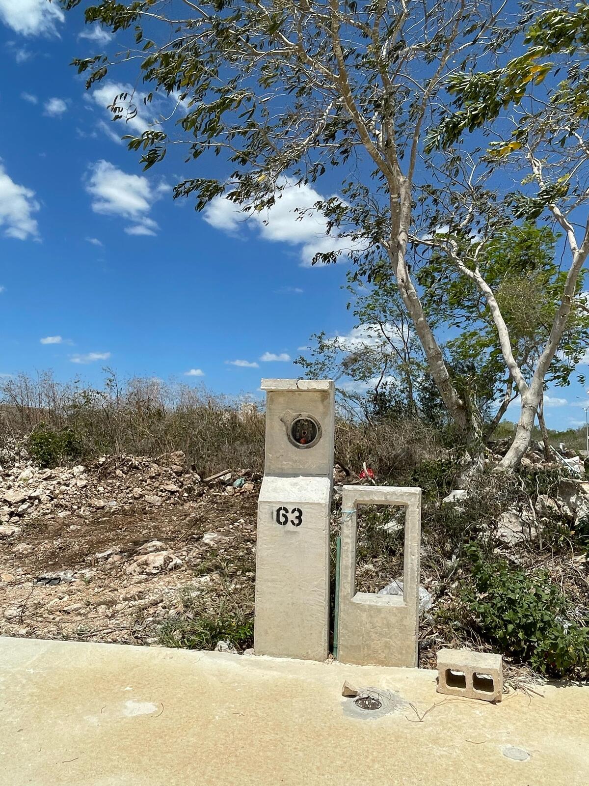 6 de 6