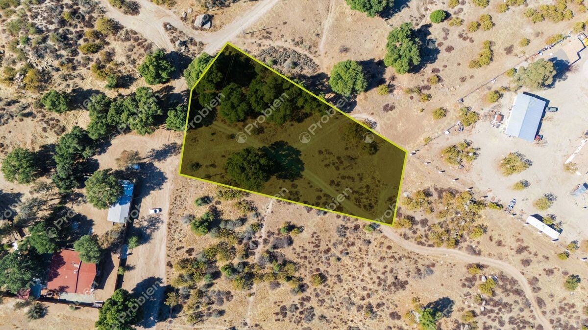 Terreno en Venta en Rancho Santa Verónica – 3,357 m²