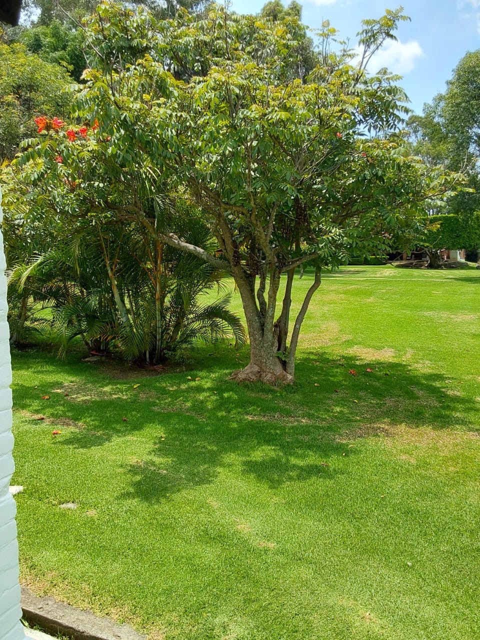 6 de 32