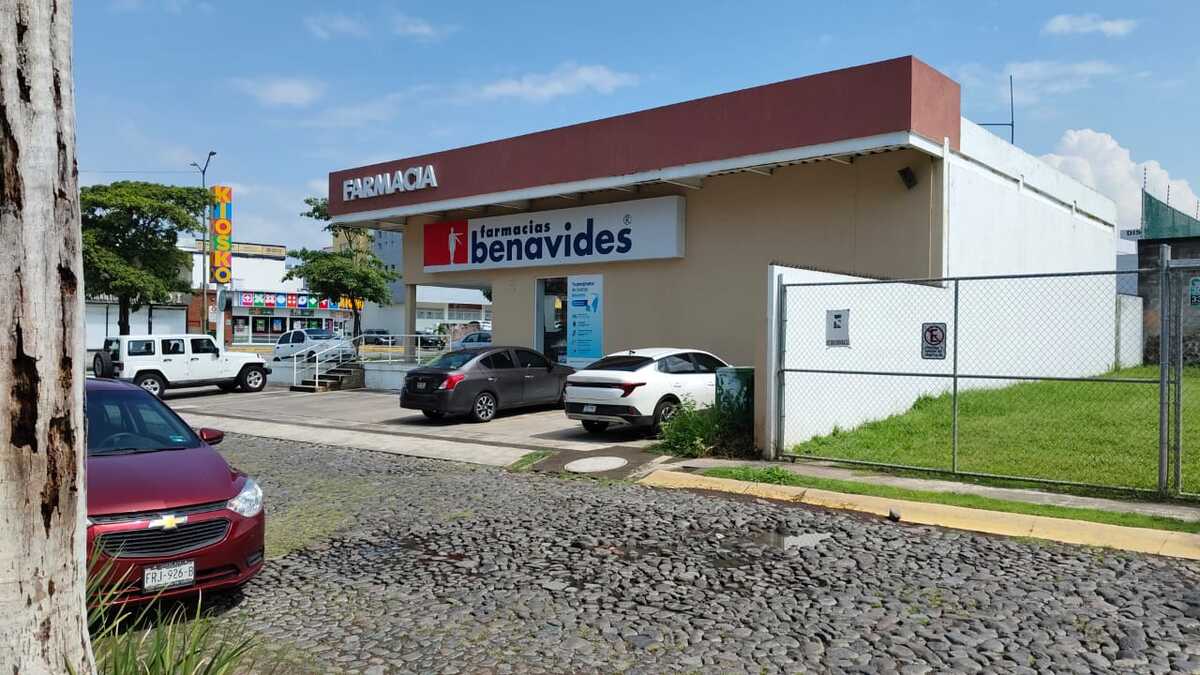 5 de 5