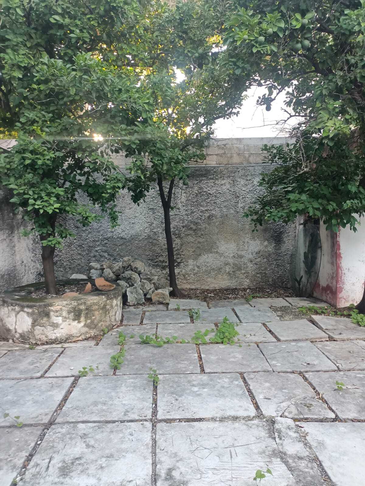 6 de 10: Patio