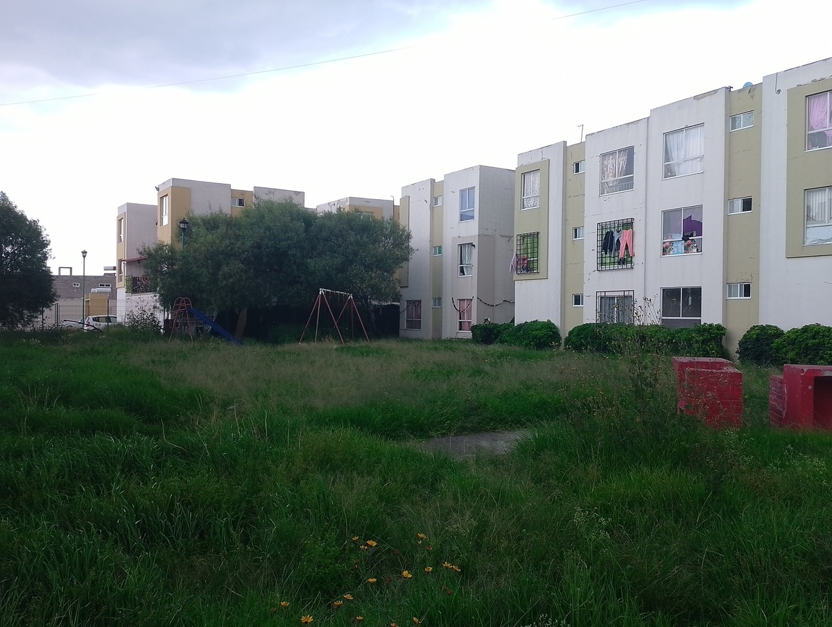 5 de 31