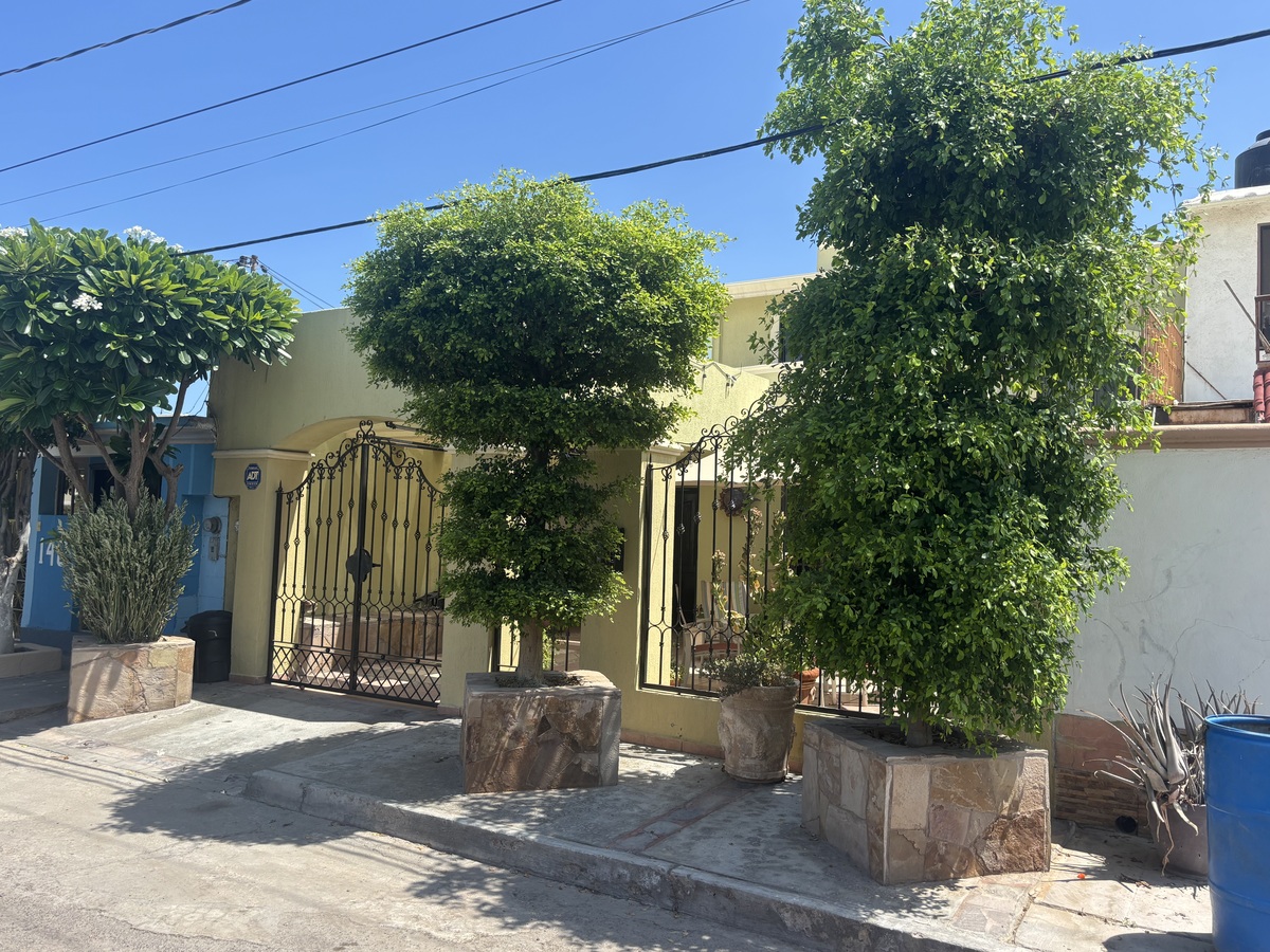 5 de 26