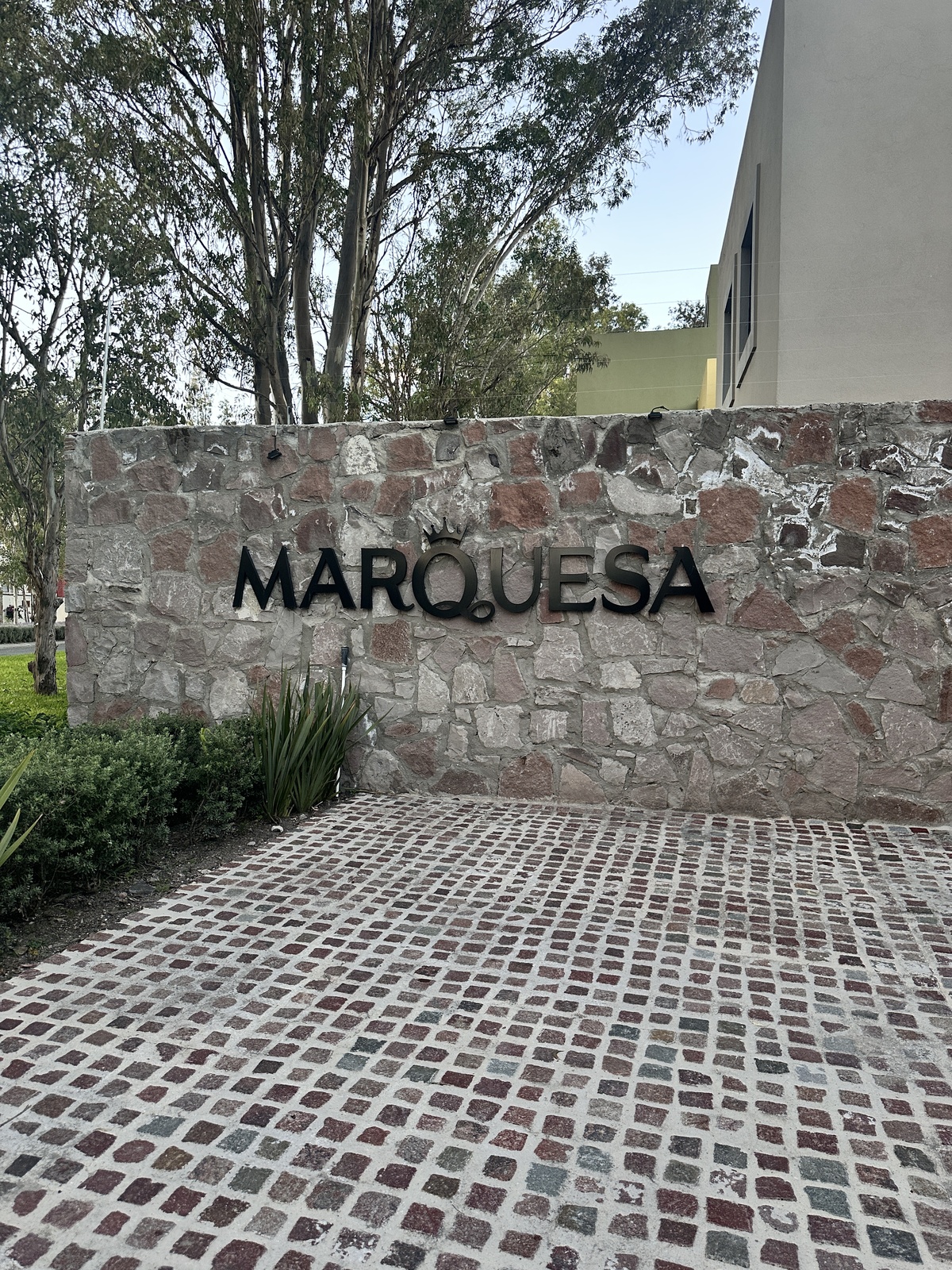 39 de 39