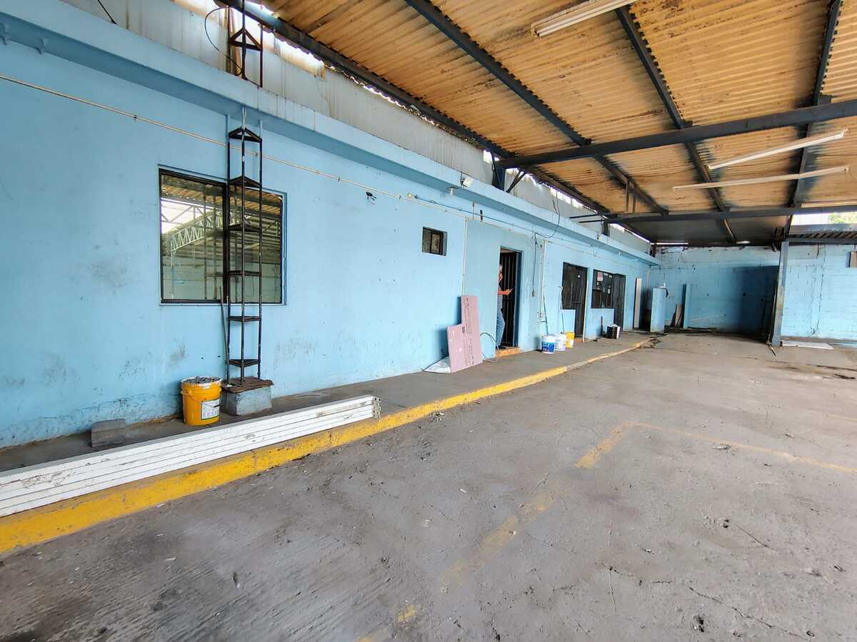 3 de 26