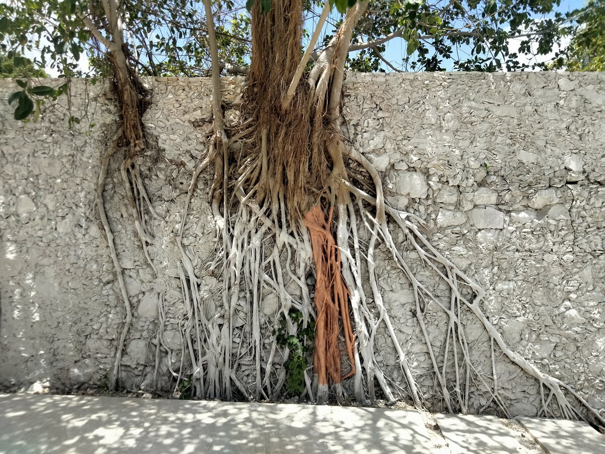 36 de 41
