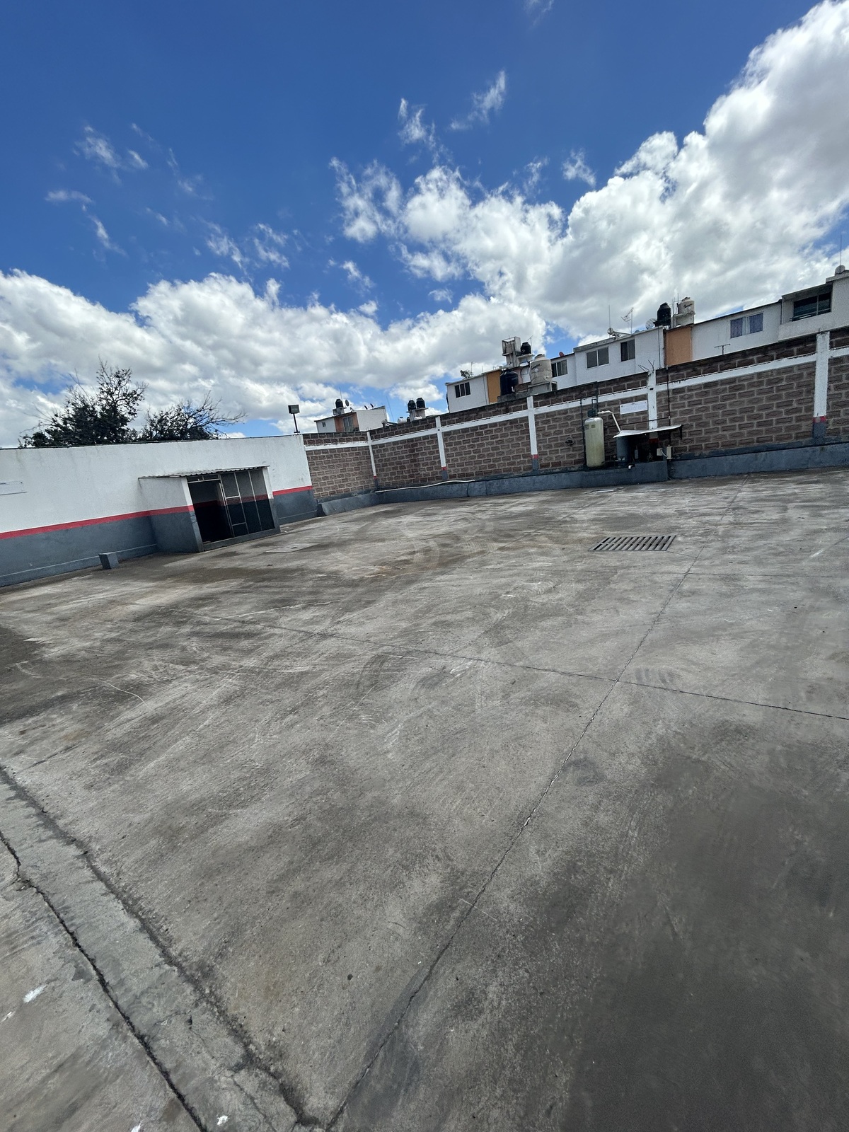 11 de 50
