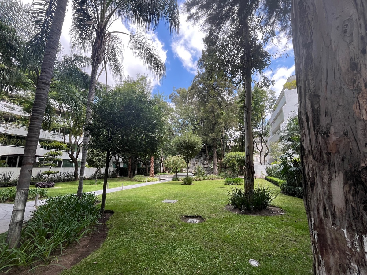 30 de 33: jardín con cascada
